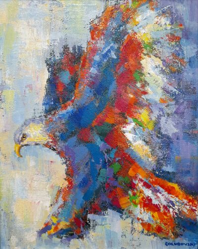 American Bald Eagle 1